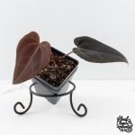 Anthurium Red Velvet Cake '24' x Red Velvet Cake '24' by DocBlock® (wk27-D) - Image 2