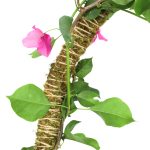 Mossify® Bendable Moss Pole™ THIN - 3 Pack - Image 8
