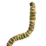 Mossify® Bendable Moss Pole™ THIN - 3 Pack - Image 9