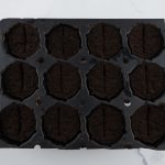 Tissue Culture Acclimation Kit