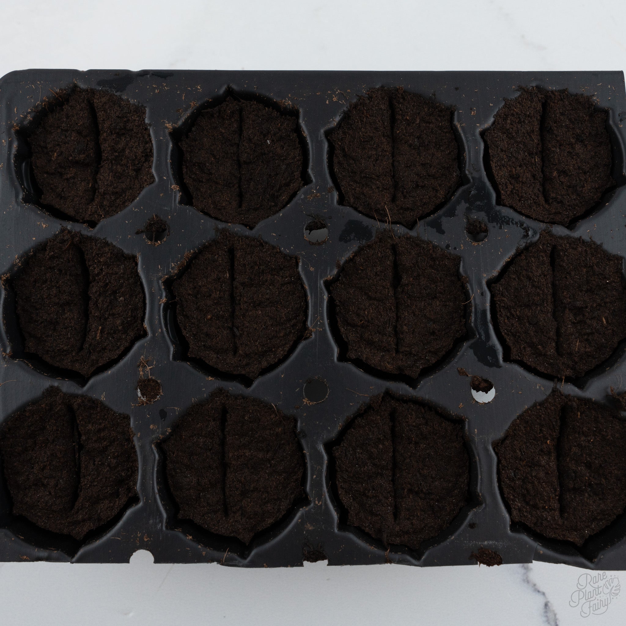 Tissue culture acclimation kit with propagation tray, humidity dome and plugs