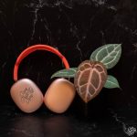 Anthurium Orange '26' x DocBlock Red Crystal '12' by DocBlock® *Grower's choice* - Image 6