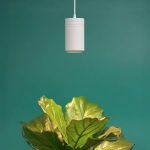 Best grow lights for rare houseplants: white LED grow light mounted over a fiddle leaf fig" style
