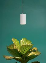 Best grow lights for rare houseplants: white LED grow light mounted over a fiddle leaf fig" style