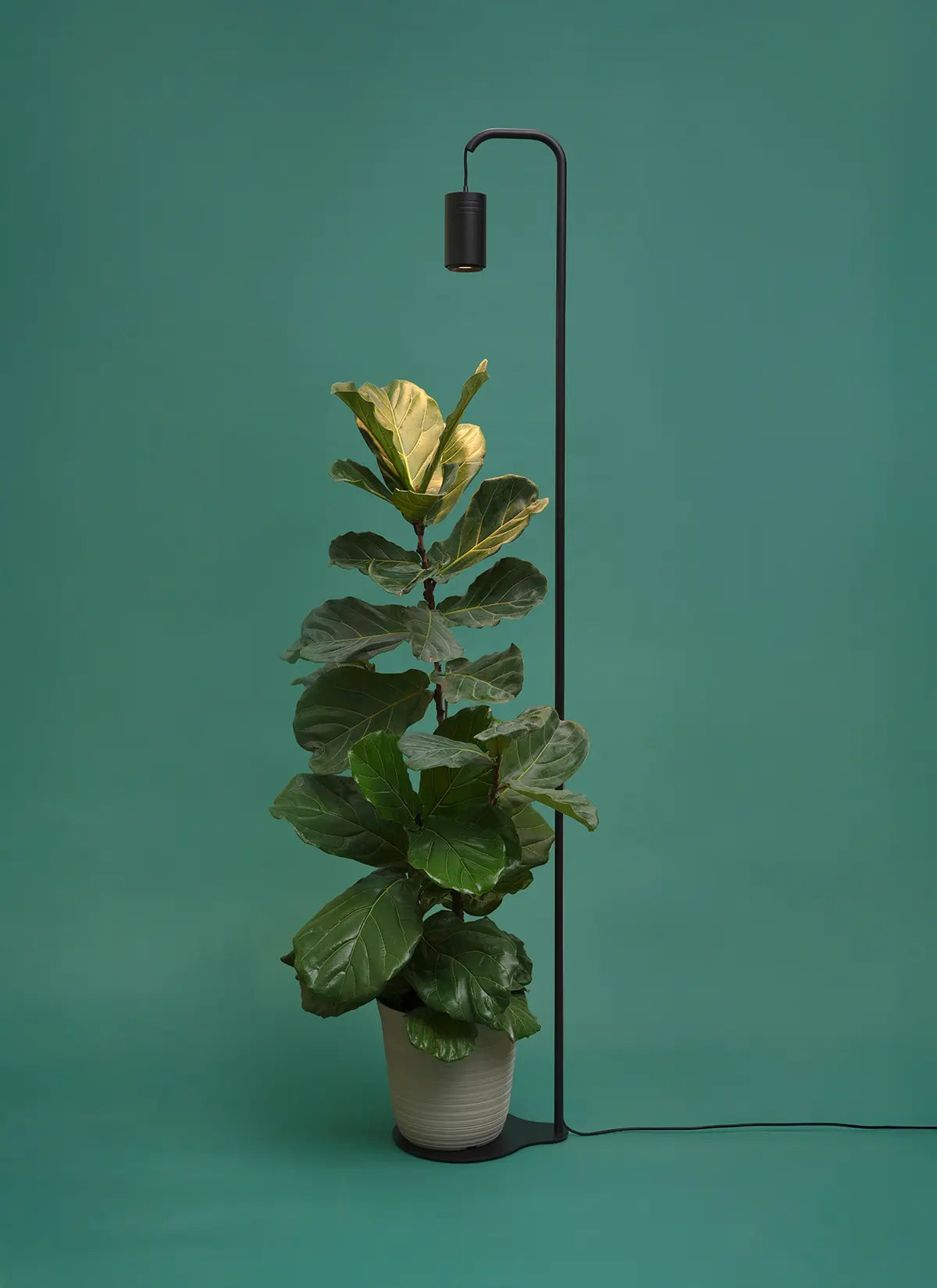 Aspect_Lampstand_Black_Full_Height_over_Plant-3.jpg Aspect™ Grow Light with Stello™ Pendant Stand Set - Image 1