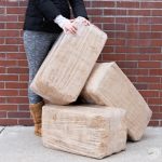 240L Chilean Sphagnum Moss 5kg Bale *Free Shipping*