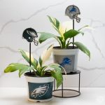 Detroit Lions 7.5 in Pots™ (Made in USA) 2pc/set - Image 3