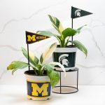 University of Michigan (UMich) 7.5 in Pots™ (Made in USA) 2pc/set - Image 2