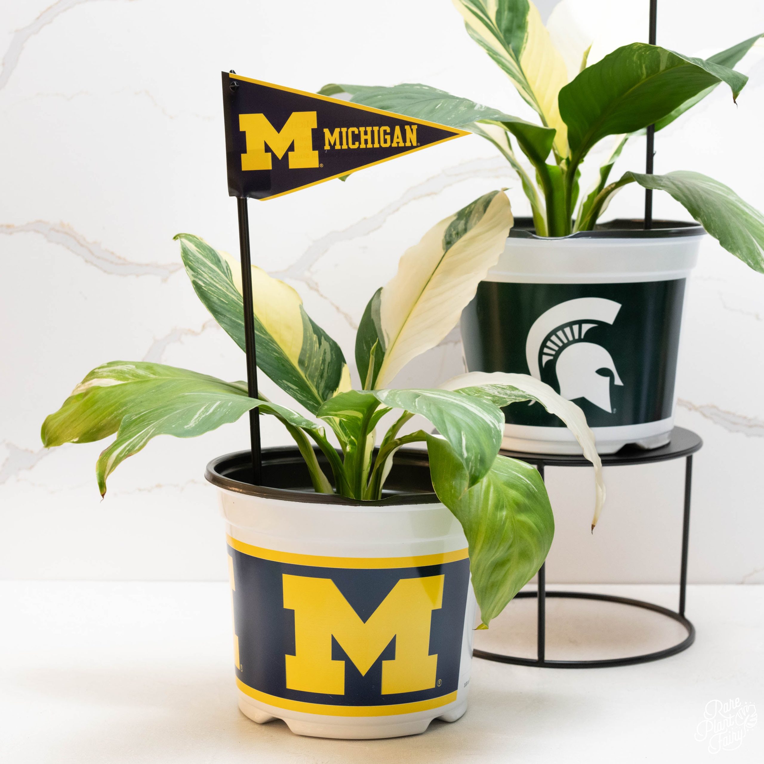 DSC01482_0fc810fd-6585-4003-bd21-18d9102cedc4-1.jpg University of Michigan (UMich) 7.5 in Pots™ (Made in USA) 2pc/set - Image 1