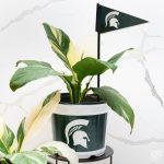 Michigan State University (MSU) 7.5 in Pots™ (Made in USA) 2pc/set