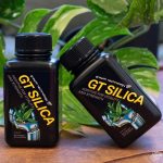 GT Silica Growth Technology - Image 2
