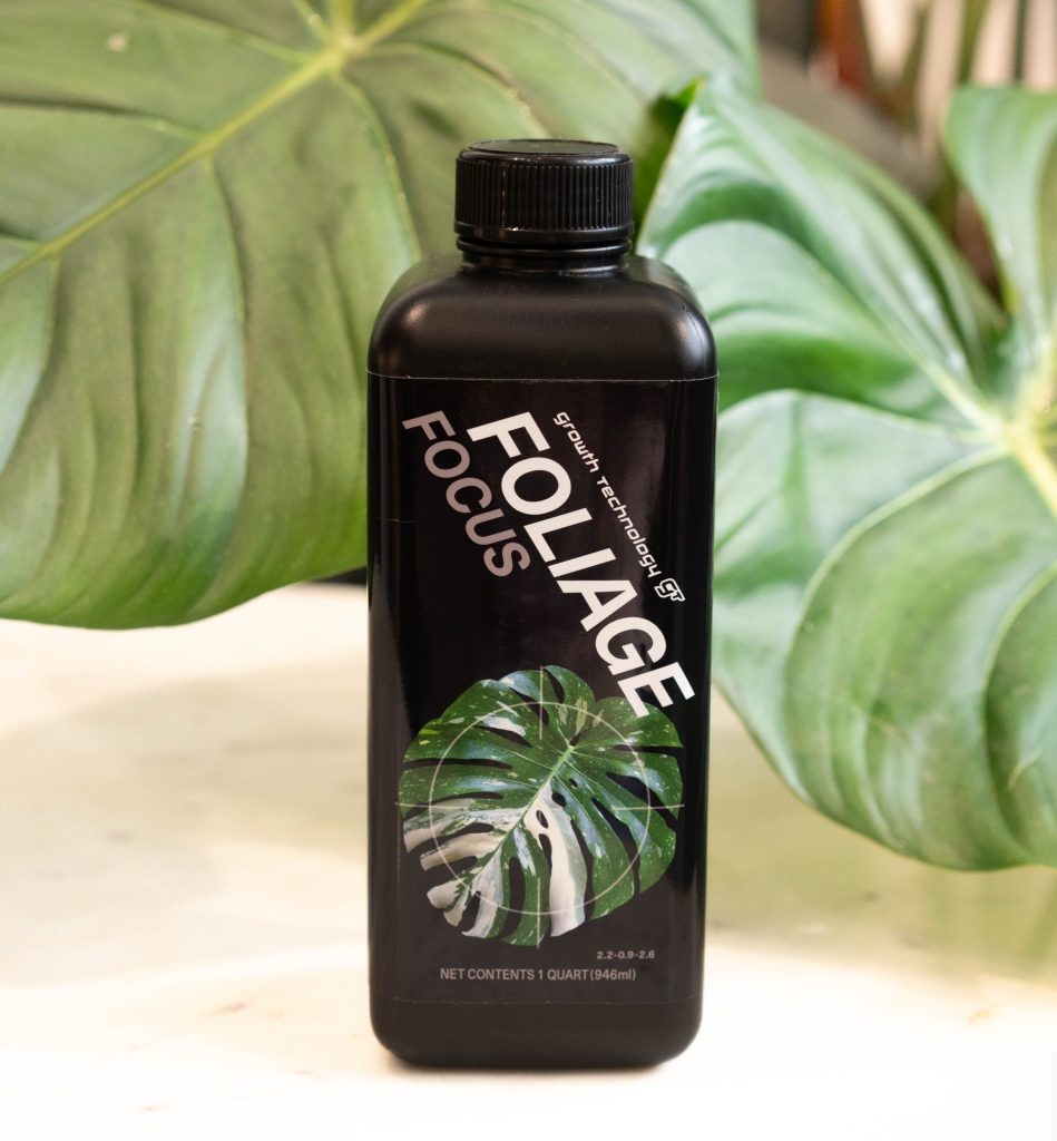 Fertilizer for rare plants: concentrated foliage nutrient for non-flowering tropical plants