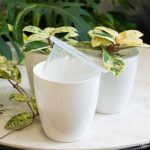 Self Watering Round Plastic Planter (4 pots per order) - Image 2