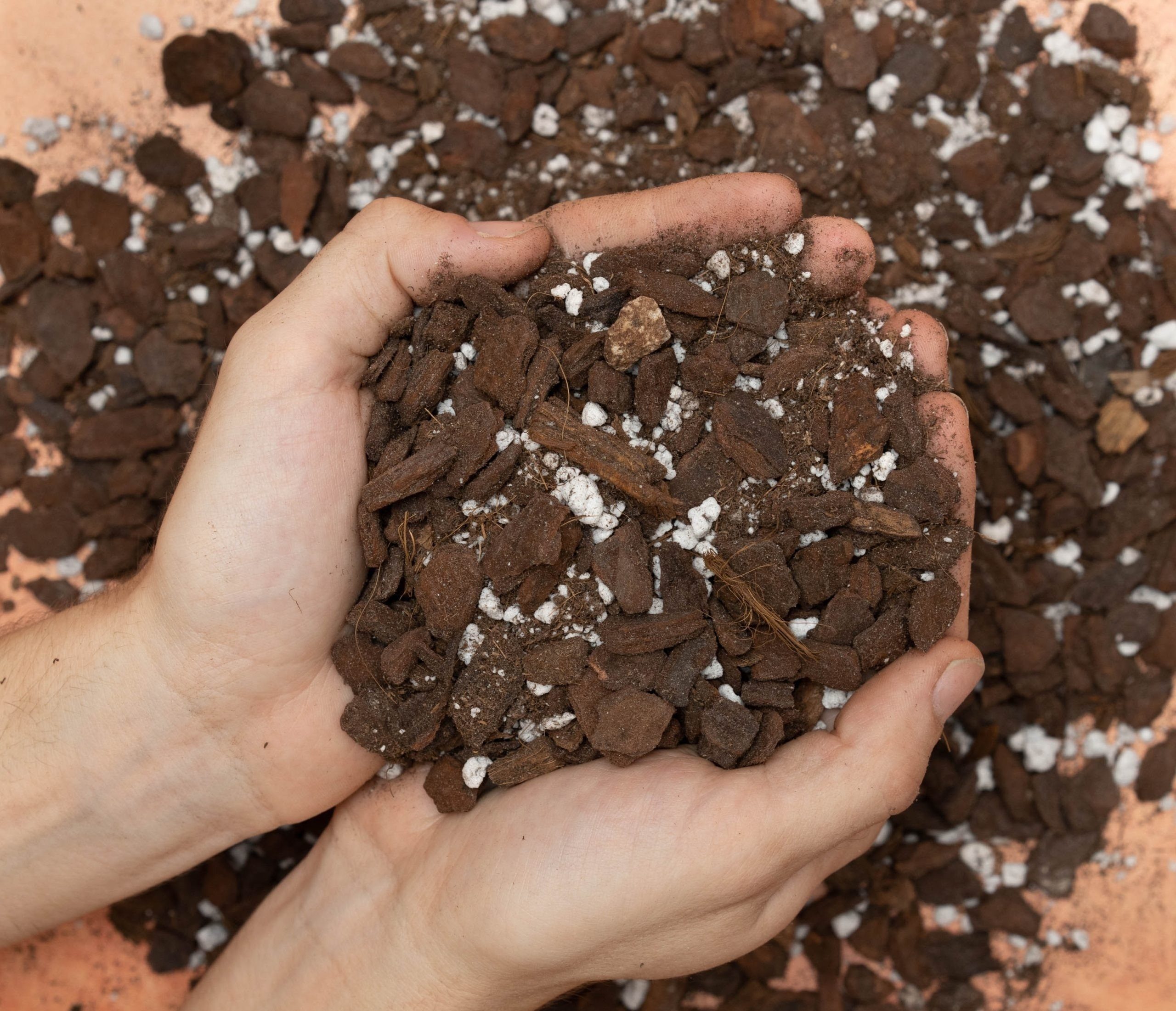 Aroid Soil Mix