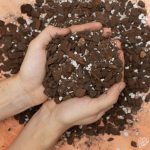Boosted Aroid Soil Mix (with 14-4-14 Time Release Fertilizer)