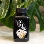 Flower Focus Growth Technology GT