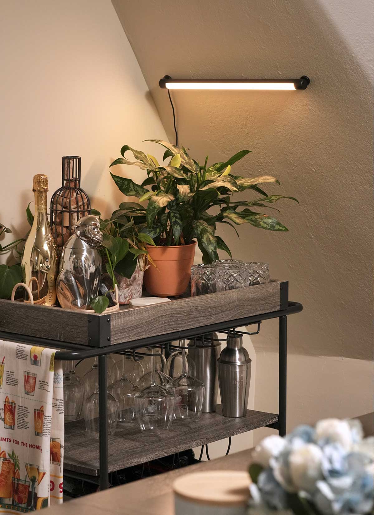 Plant shelf with grow lights: black LED bar light mounted above plants on a cart