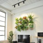 Hardwired Highland™ Track Light System - Image 6