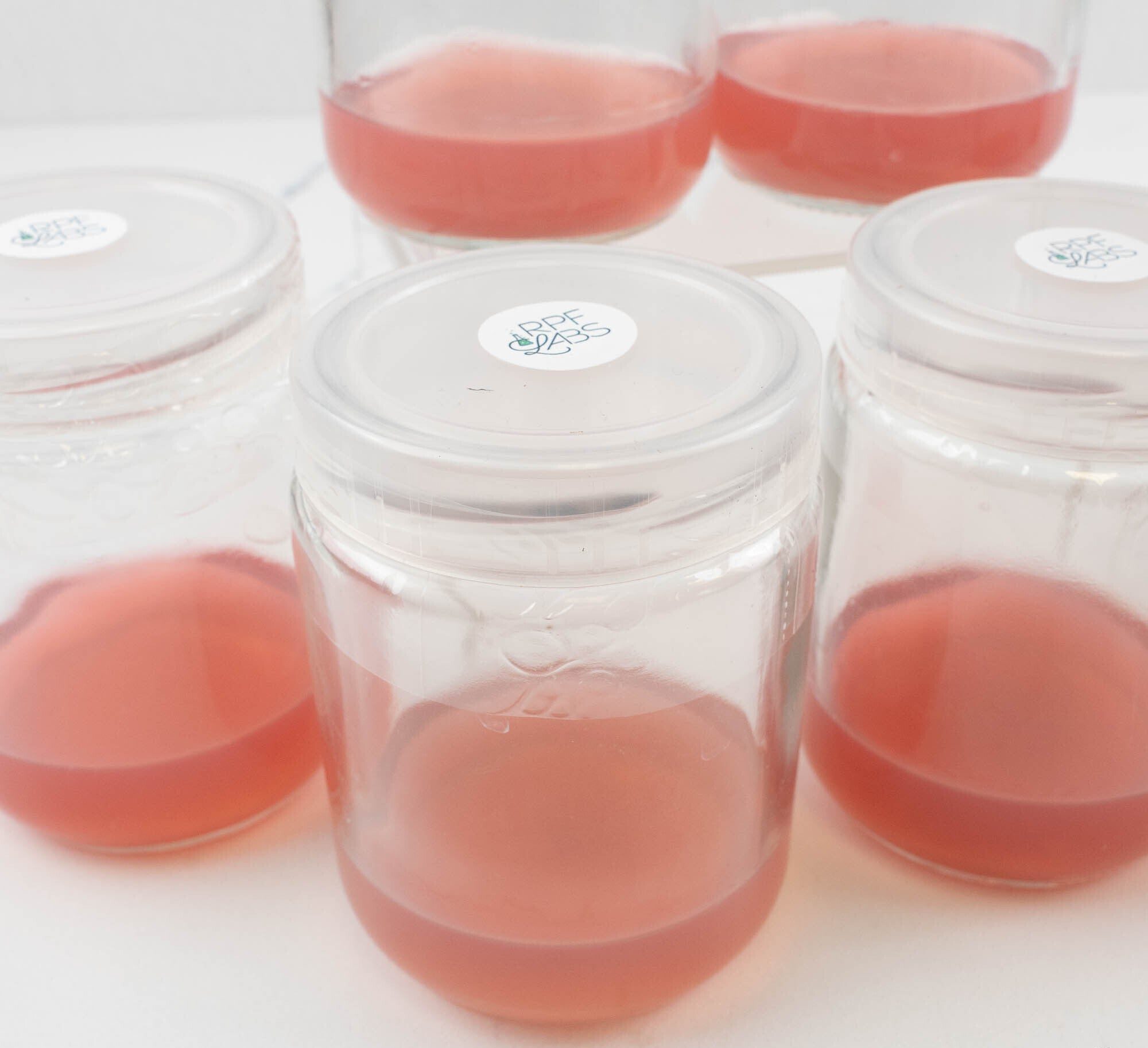 Tissue Culture Beginners Guide