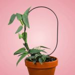 Mossify® Metal Trellis