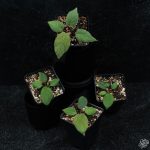 Homalomena sp. 'Hairy' *Grower's Choice* - Image 2