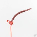 Variegated Anthurium Red Velvet Cake '24' x Zara '29' by DocBlock® (wk24-UI) - Image 9