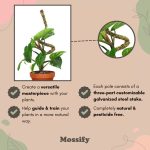 Mossify® Bendable Moss Pole™ THIN - 3 Pack - Image 2