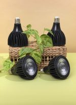 Greenfit™ Kit (Vita 4-Pack) - Image 3