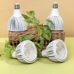Greenfit™ Kit (Vita 4-Pack)